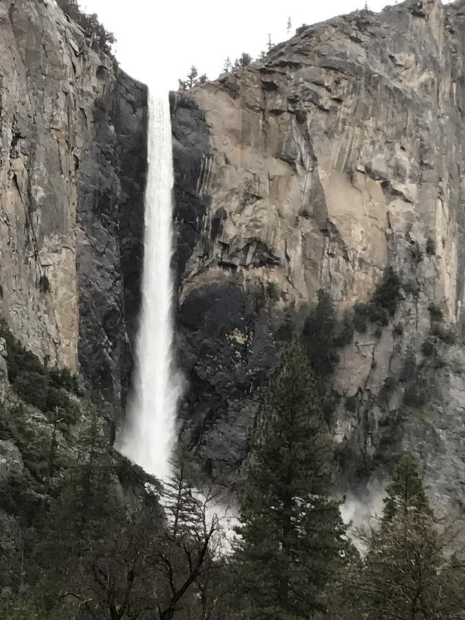 Yosemite Condominium Йосемити-Уэст Экстерьер фото